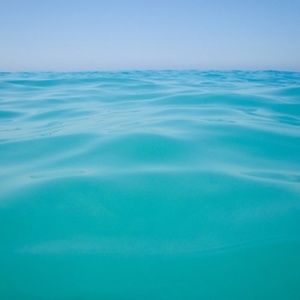 Meet your Posher, Camille